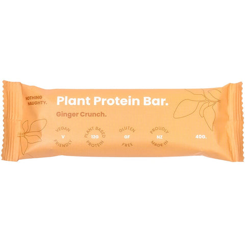 Nothing Naughty Plant Protein Bar - Single Ginger Crunch