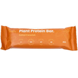 Nothing Naughty Plant Protein Bars Ginger Crunch / Single Bar