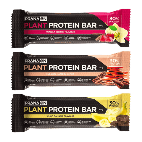 PranaOn Plant Protein Bars