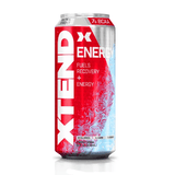 SciVation Xtend Energy RTD - Single