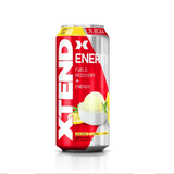 SciVation Xtend Energy RTD - Single